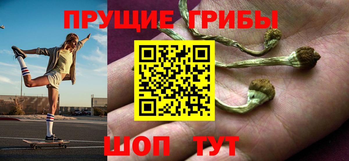 где найти   Галлюциногенные грибы мицелий  Вход с VPN  Гуково 