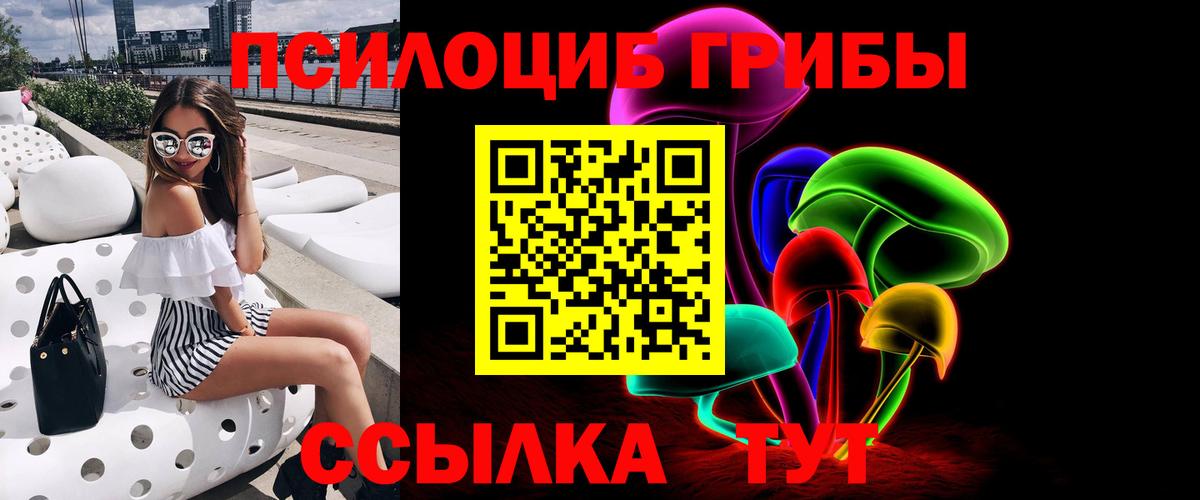Галлюциногенные грибы Cubensis Гуково